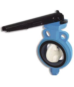Butterfly Valve | Wafer & Lugged Type