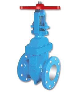Gate Valve | Flange End