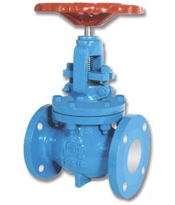 Globe Valve | Flange End